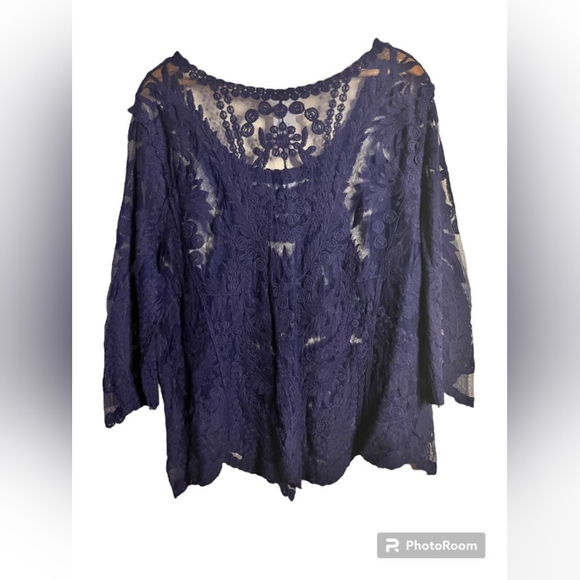 Navy Blue Simply Emma Embroidery Sheer Blouse - Picture 3 of 5